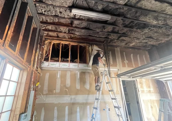 painting and renovation services