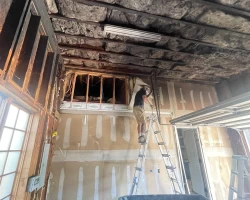 painting and renovation services