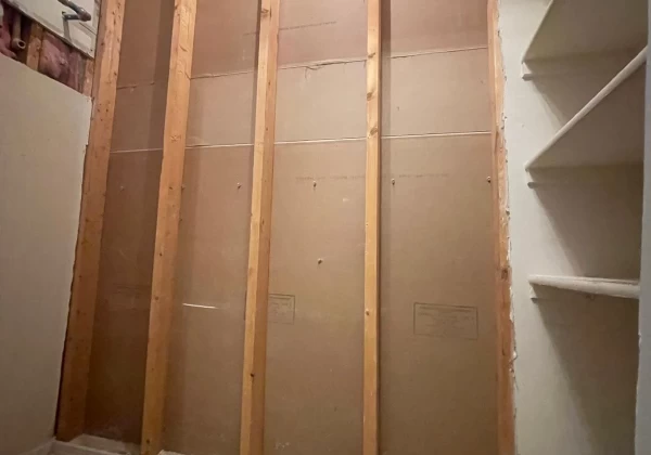 painting and renovation services