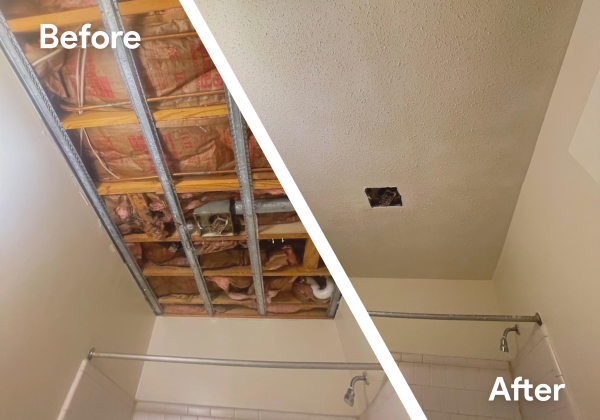 painting and renovation services